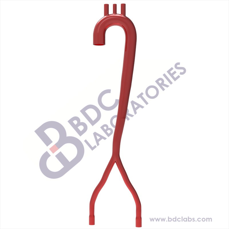 Descending Aorta with Arch (SACOA-2D1) Image