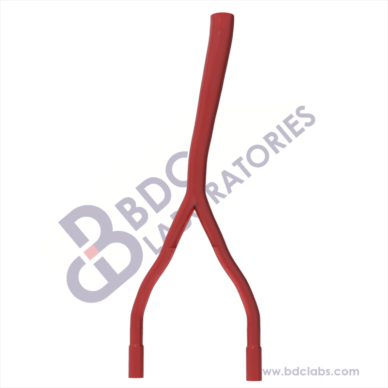 Descending Aorta (SADA-2D1) Image