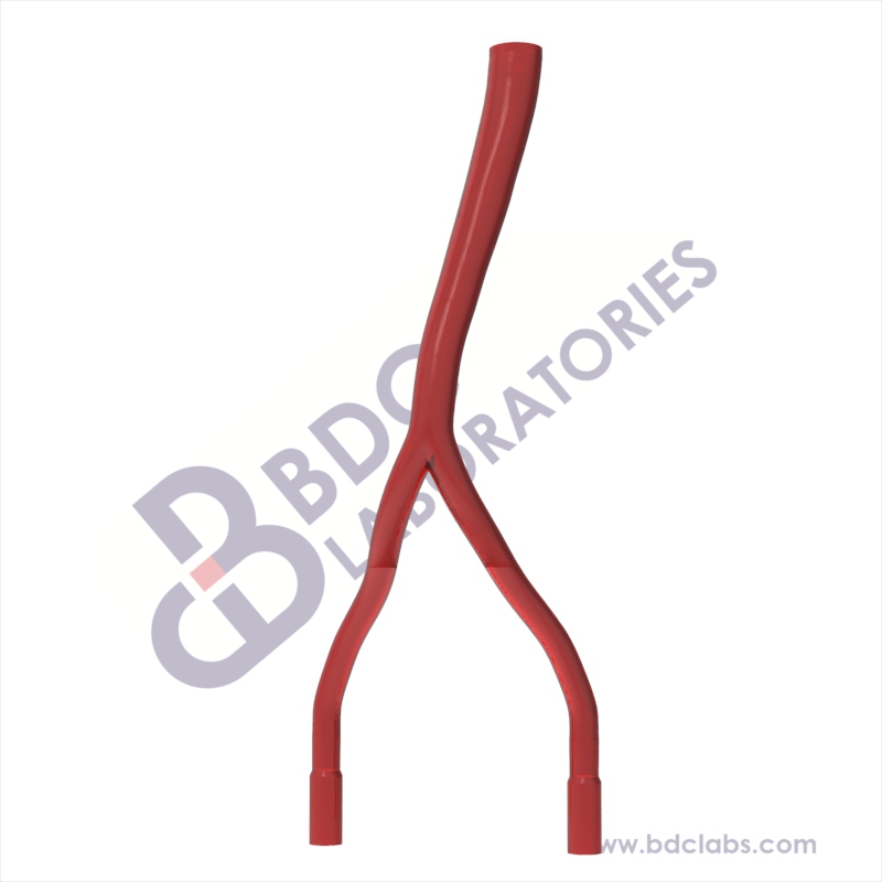 Descending Aorta (SADA-3D1) Image
