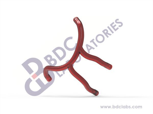 Right Coronary Artery