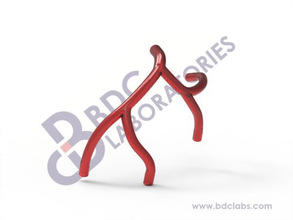 Left Coronary Artery