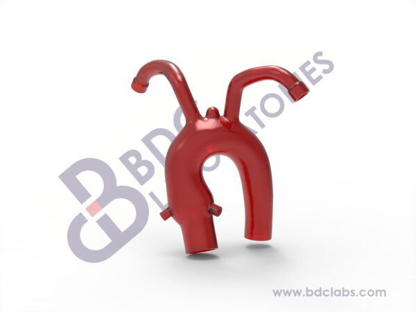 Aortic Arch with Coronary Ostia and Subclavian Vessels