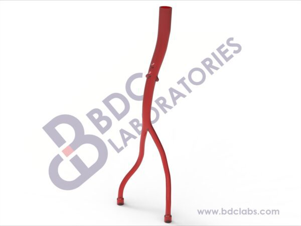 Descending Aorta with Iliac and Femoral Arteries