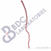 Right Arm Arteries - Image 2