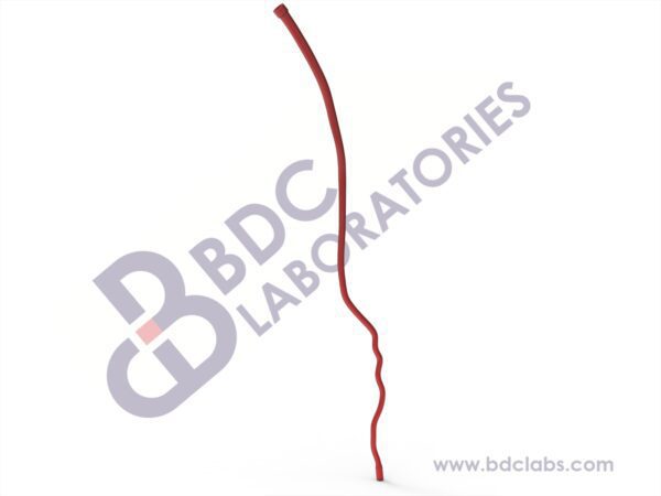 Left Arm Arteries