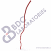 Left Arm Arteries - Image 2