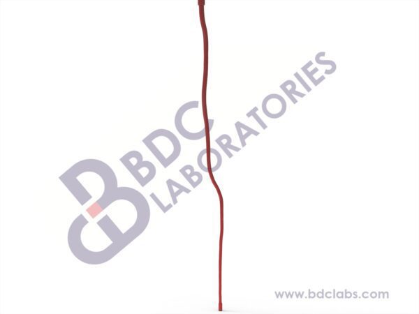 Left Leg Arteries