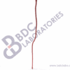 Left Leg Arteries - Image 2