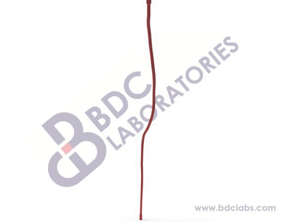 Right Leg Arteries