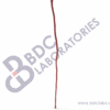 Right Leg Arteries - Image 2