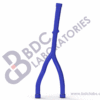 Inferior Vena Cava with Femoral Veins - Image 2