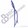 Right Arm Veins - Image 2