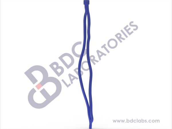 Right Leg Veins