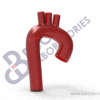 Crenel Aortic Arch - Image 2