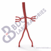 Descending Aorta with Iliac and Renal Vessels - Image 2