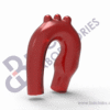 Aortic Arch - Image 2