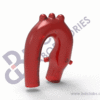 Aortic Arch with Coronary Ostia - Image 2