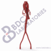 Aorta with Femoral and Coronary Arteries - Image 2