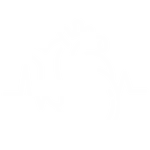 Clinically relevant icon