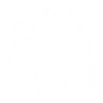 Hemodynamic precision icon