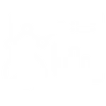 Insightful analytics icon