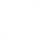 Scalable Test Program icon