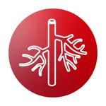 BDC Labs Silicone Vessels Icon