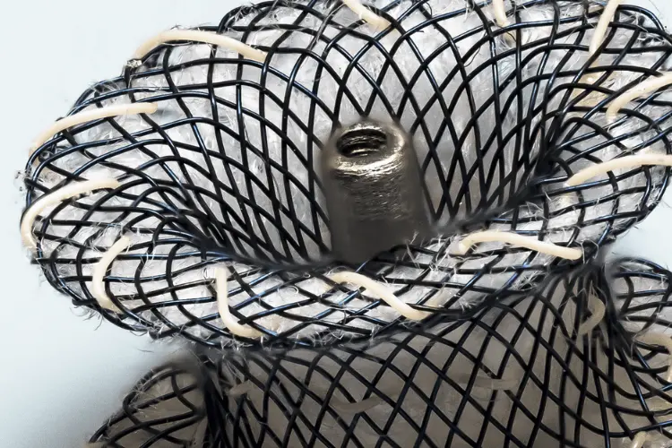 Cardiac Occluder Testing