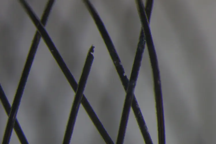 Medical Device Corrosion Testing