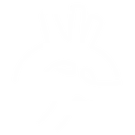 Realistic dynamics icon