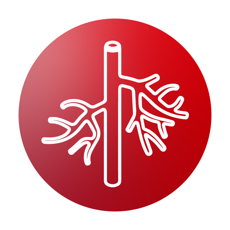 Silicone solutions icon