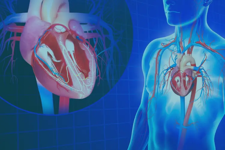Custom Simulations for Complex Cardiovascular Procedures