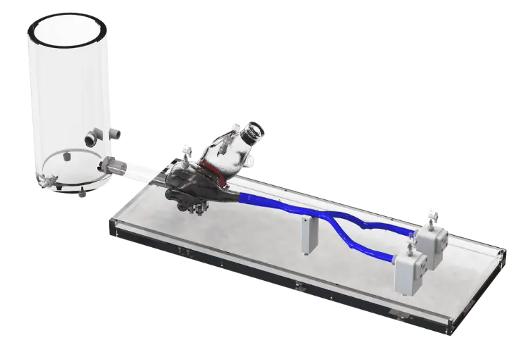 BDC Labs' Mitrial Valve Simulation