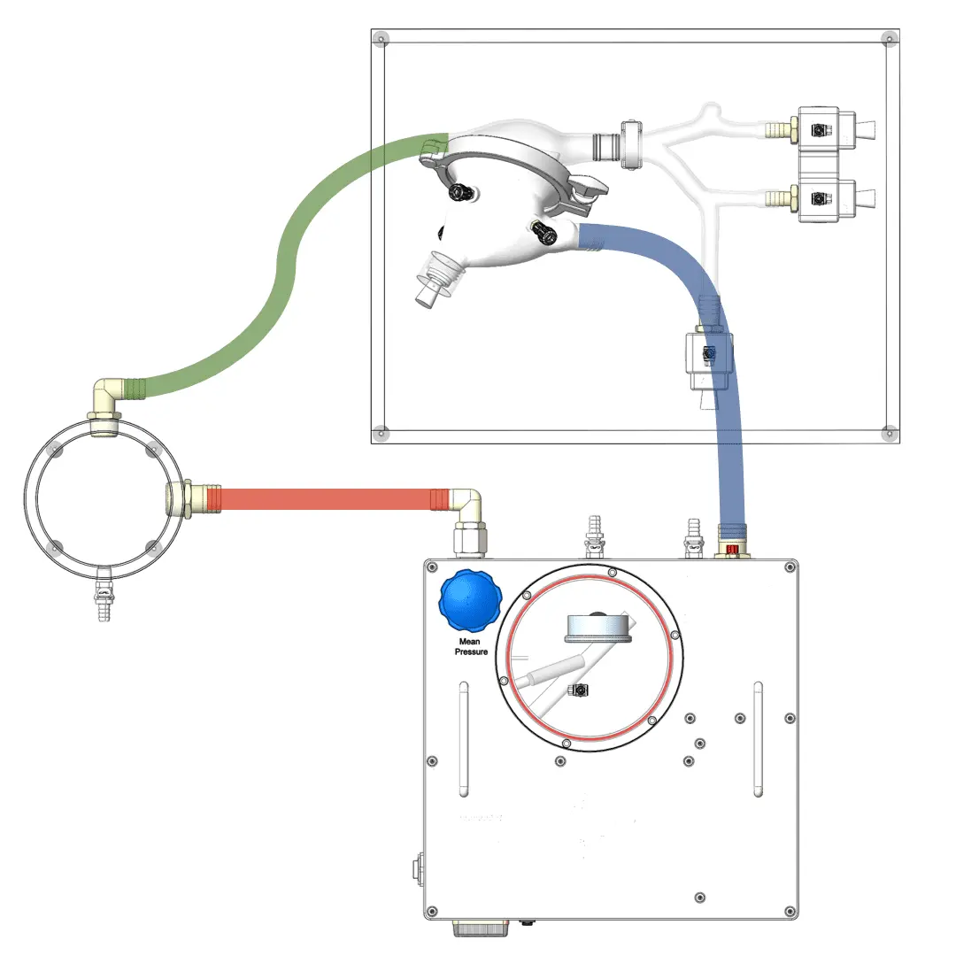BDC Labs' Tricuspid Valve Simulation Rendering