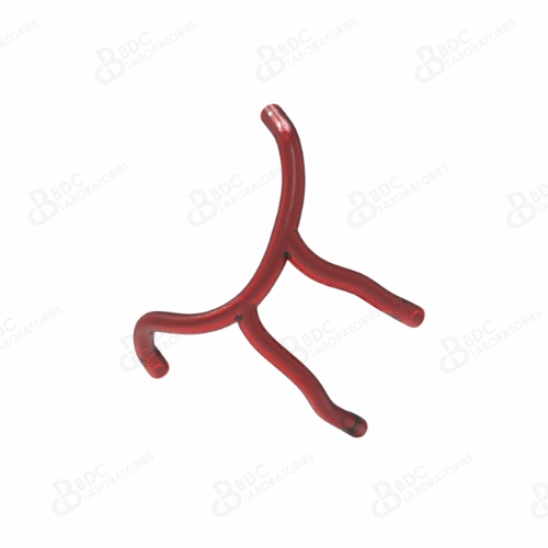 Right Coronary Artery