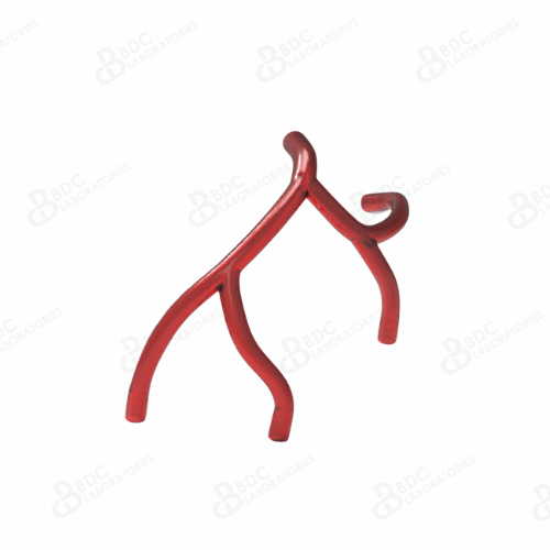 Left Coronary Artery