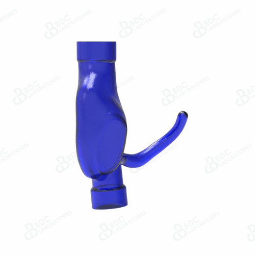 SVC, IVC and Right Atrium with Coronary Sinus