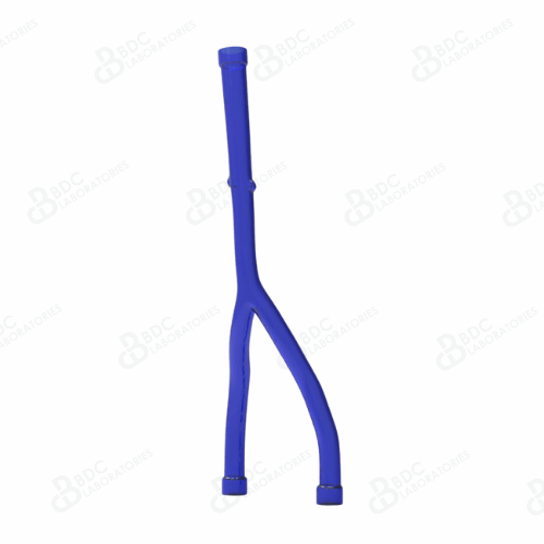 Inferior Vena Cava with Femoral Veins