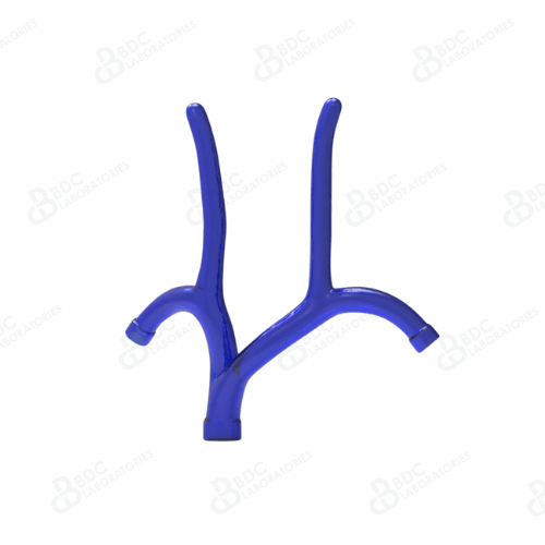 Superior Vena Cava with Subclavian Veins