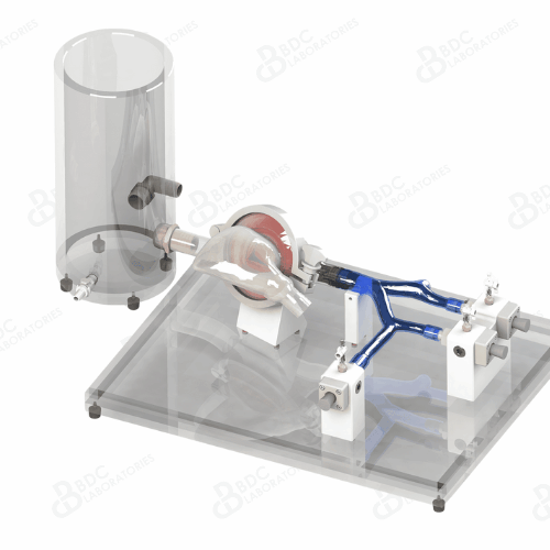 BDC Labs' Tricuspid Valve Simulation product