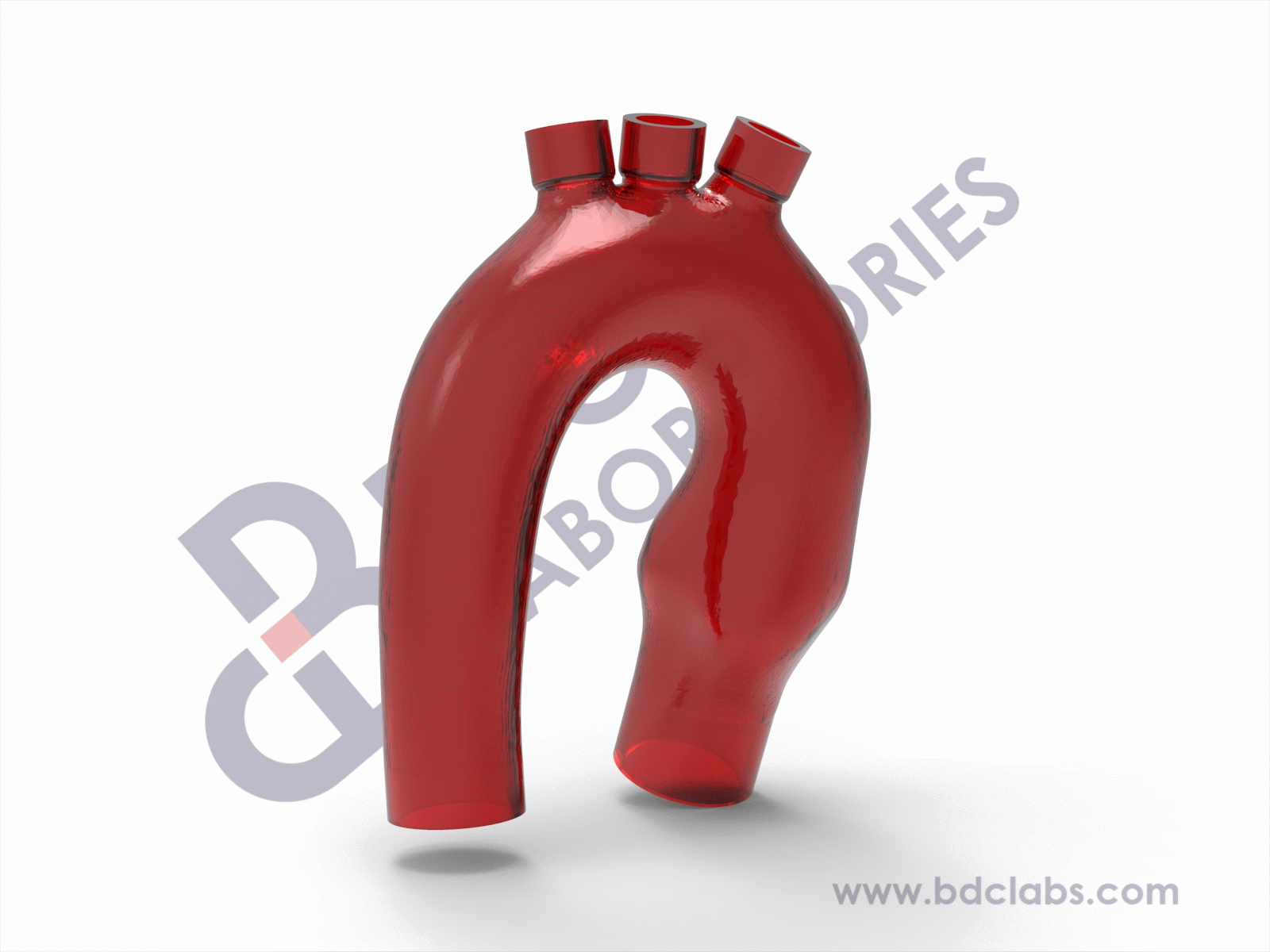 Aortic Arch with Branch Vessel Access - Image 2