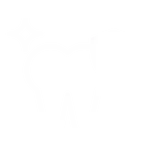 Dental Insurance Icon