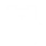 Medical Insurance Icon