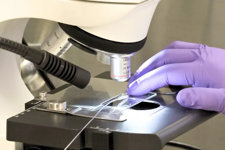 Person examining coating under a microscope